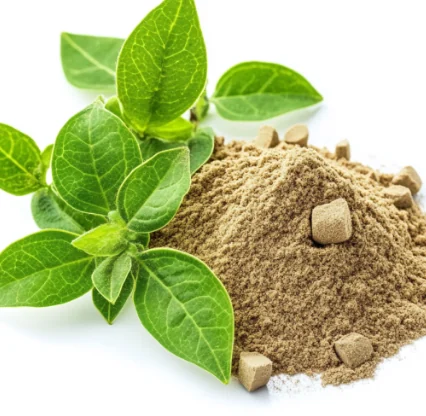 Fresh green botanical leaves beside a heap of ground plant powder, the raw material behind capsule formulas
